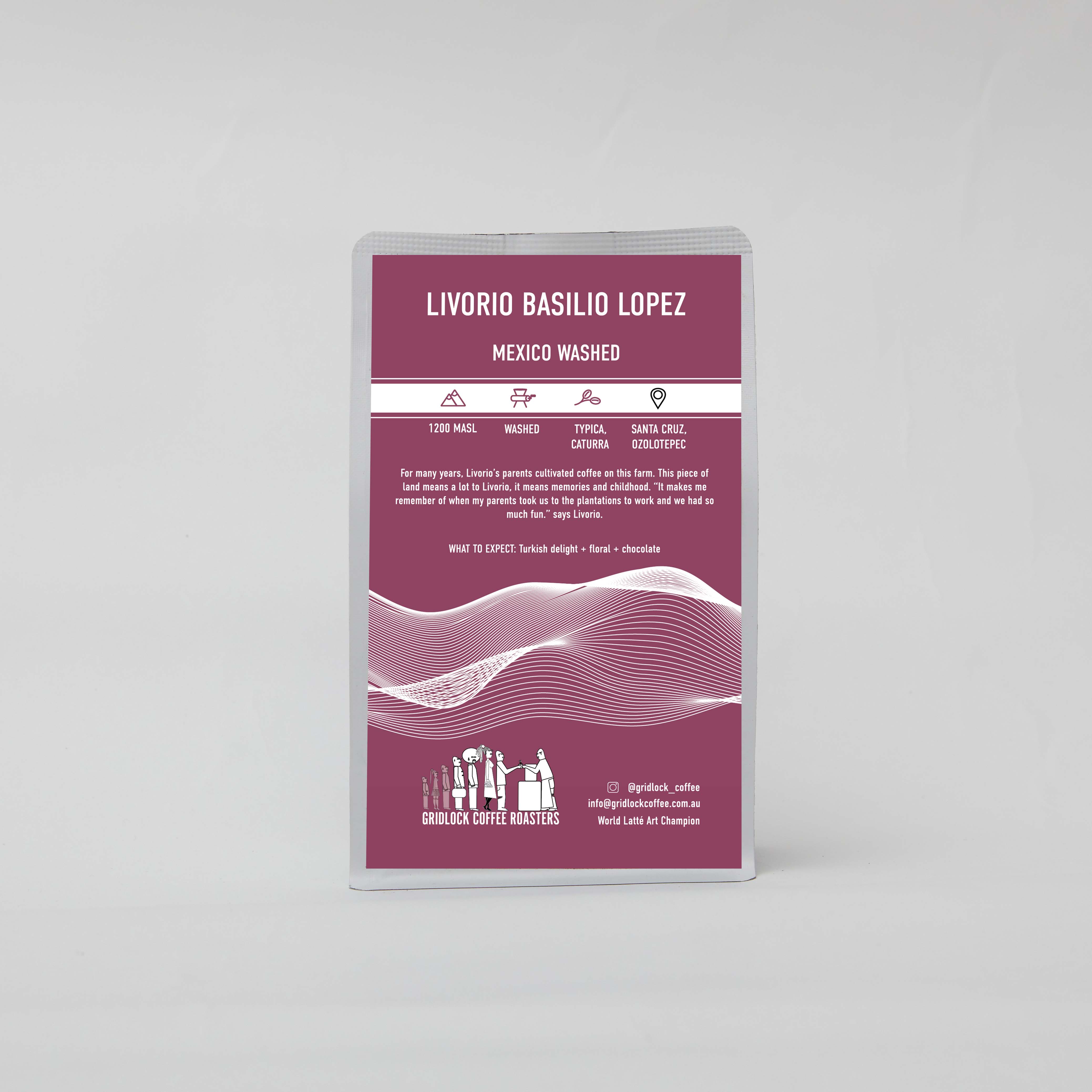 LIVORIO BASILIO LOPEZ MEXICO WASHED