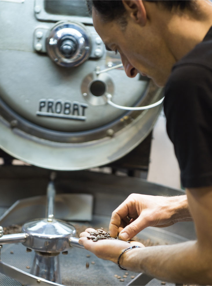 Processing Coffee Beans - Gridlock Coffee Roasters