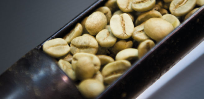 Coffee Beans - Gridlock Coffee Roasters
